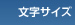 文字サイズ